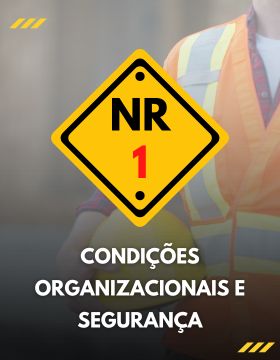 NR 01: RISCOS PSICOSSOCIAIS - CONDIÇÕES ORGANIZACIONAIS E SEGURANÇA