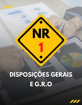 NR 01: DISPOSIÇÕES GERAIS E GERENCIAMENTO DE RISCOS OCUPACIONAIS
