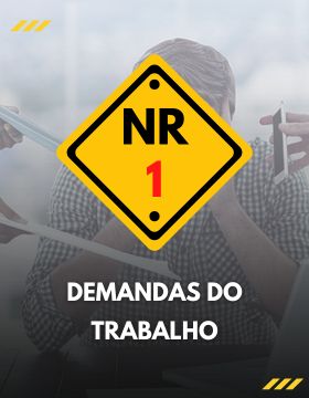 NR 01: RISCOS PSICOSSOCIAIS - DEMANDAS DE TRABALHO