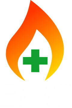 EMS Assessoria e Treinamentos