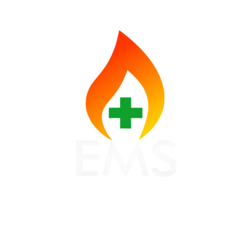 EMS Assessoria e Treinamentos